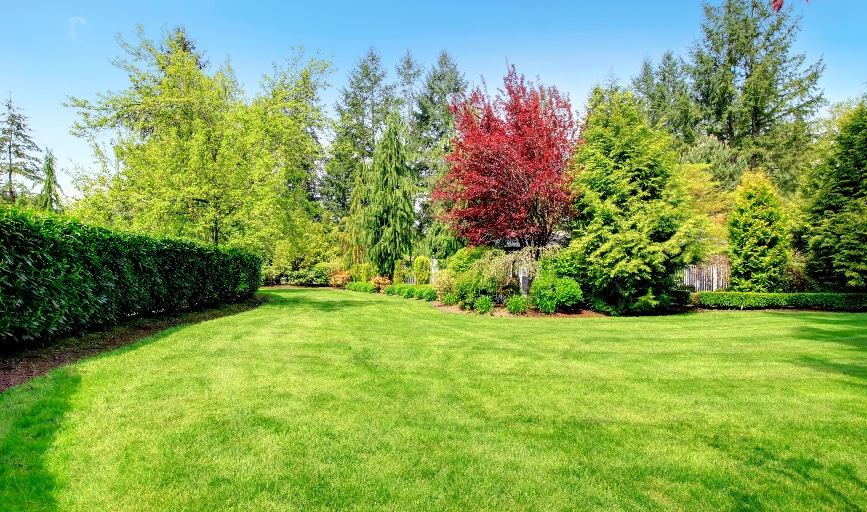 Ricardo's M Lawncare