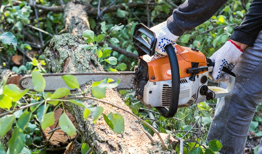 Ricardo's M Lawncare