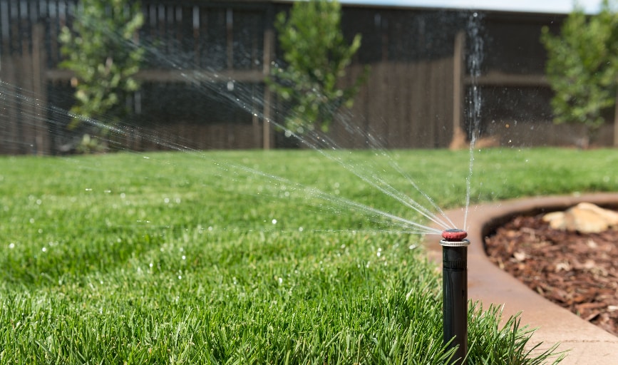 Ricardo's M Lawncare