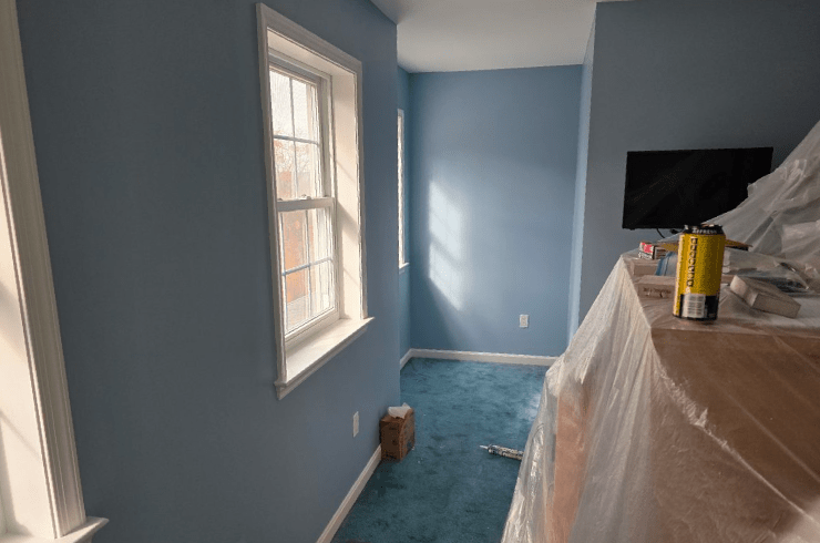 Advanced Painting Professionals