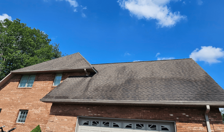 Roof Cleaning