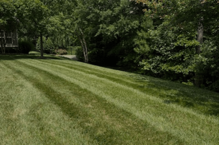 EliteMasters Landscaping