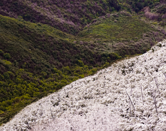 Long Distance Driving