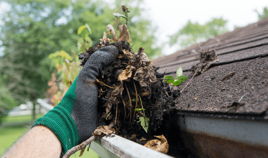 Gutter Cleaning