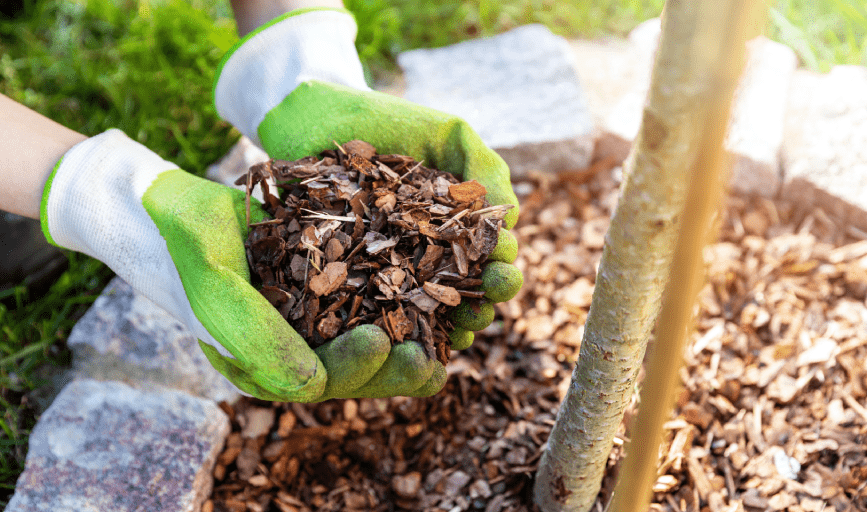 Mulching
