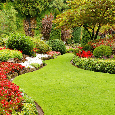 Landscape Installation