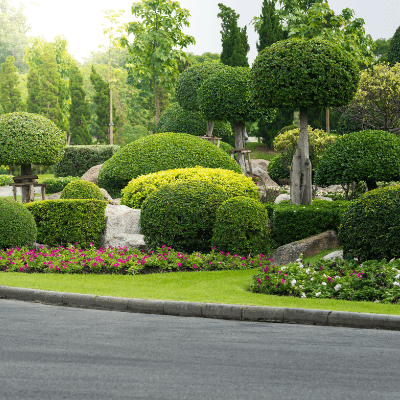 Custom Landscape Designs