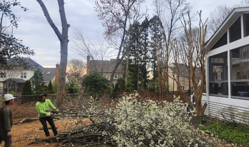 Claros Landscaping Services