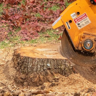 Stump Grinding