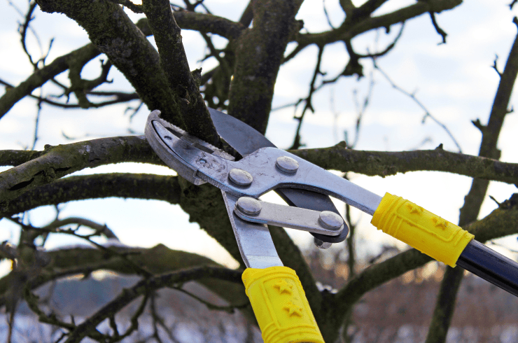 M and M Landscaping and Tree Service