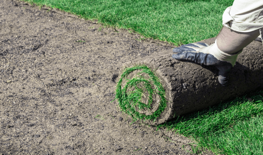 Sod Installation