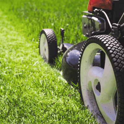 Lawn Mowing
