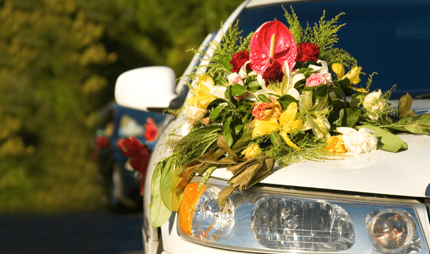 Five Star Car Rentals