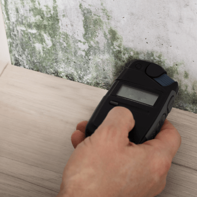 Mold Inspection