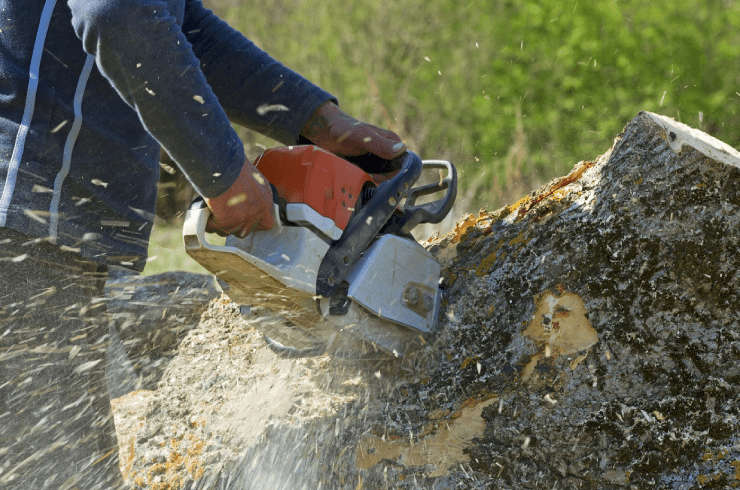 Sunrise Tree Service