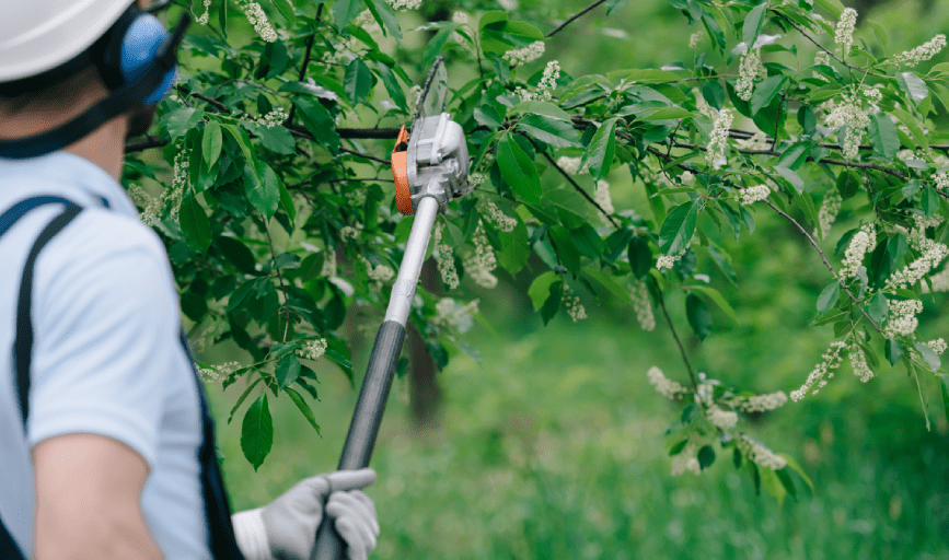Sunrise Tree Service