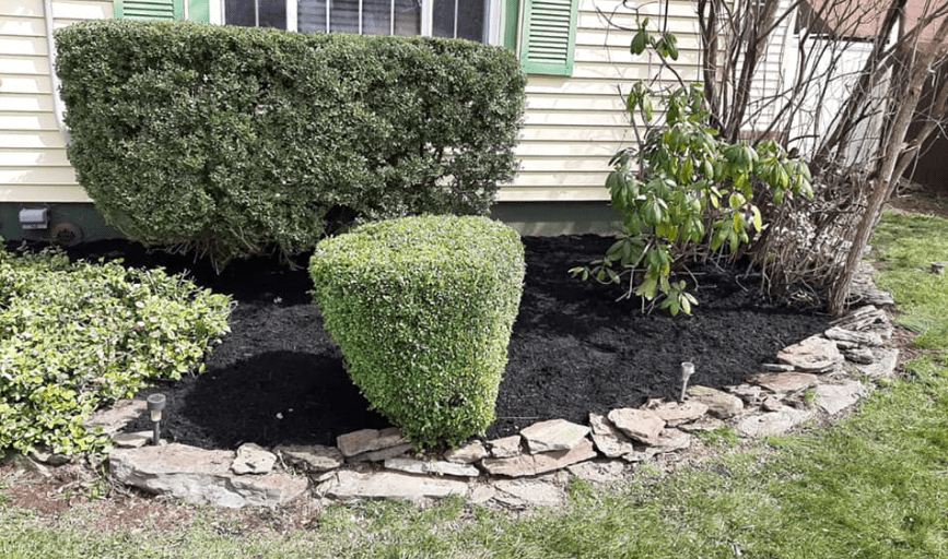 Landscaping, J.G Diaz 