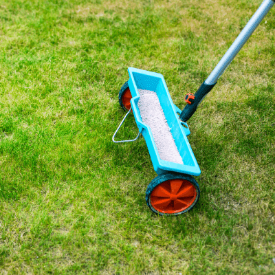 Lawn Fertilization