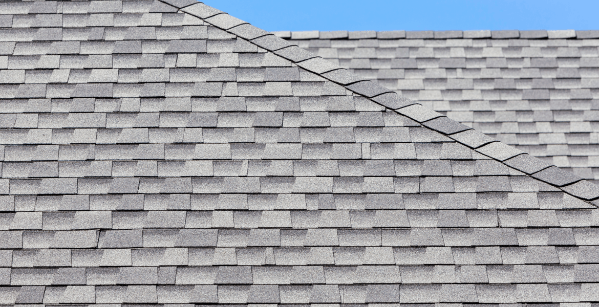 Leo Da Vinci Design & Build