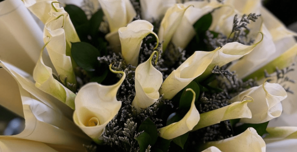 El Cid Luxury Flowers