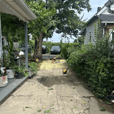 RESIDENTIAL JUNK REMOVAL