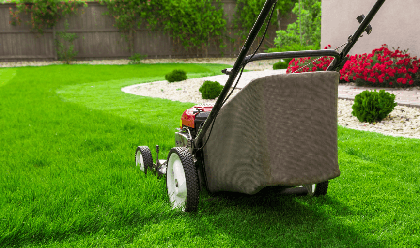 Lawn Mowing