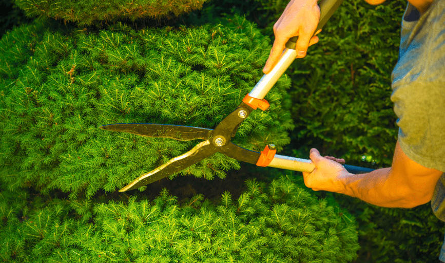 Rolling Field Lawn Maintenance