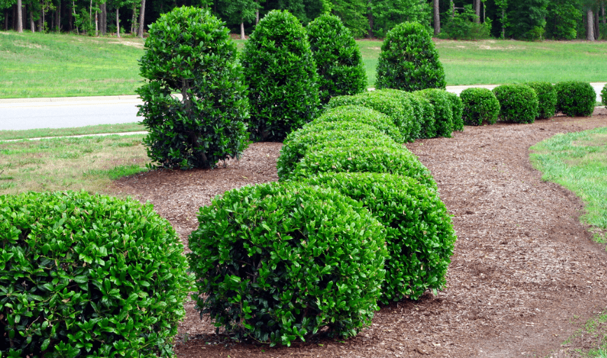 Rolling Field Lawn Maintenance