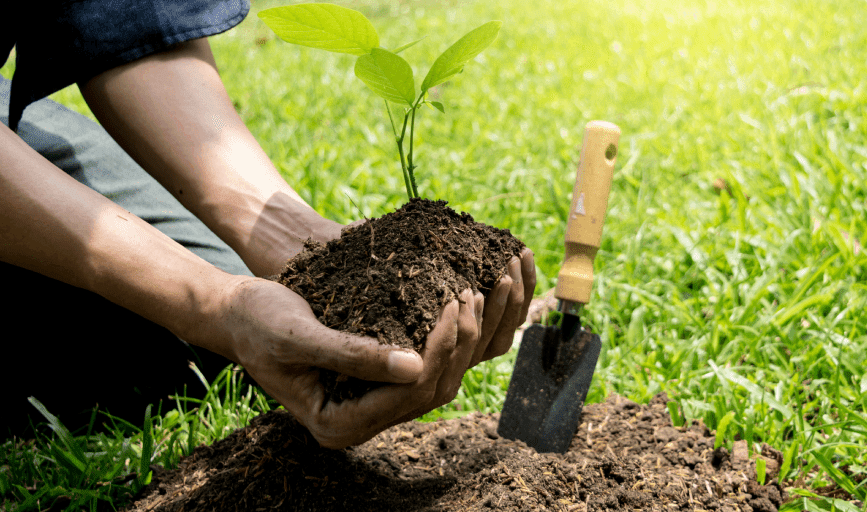 Apex Land and Forestry