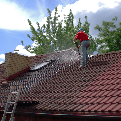 Roof Cleaning