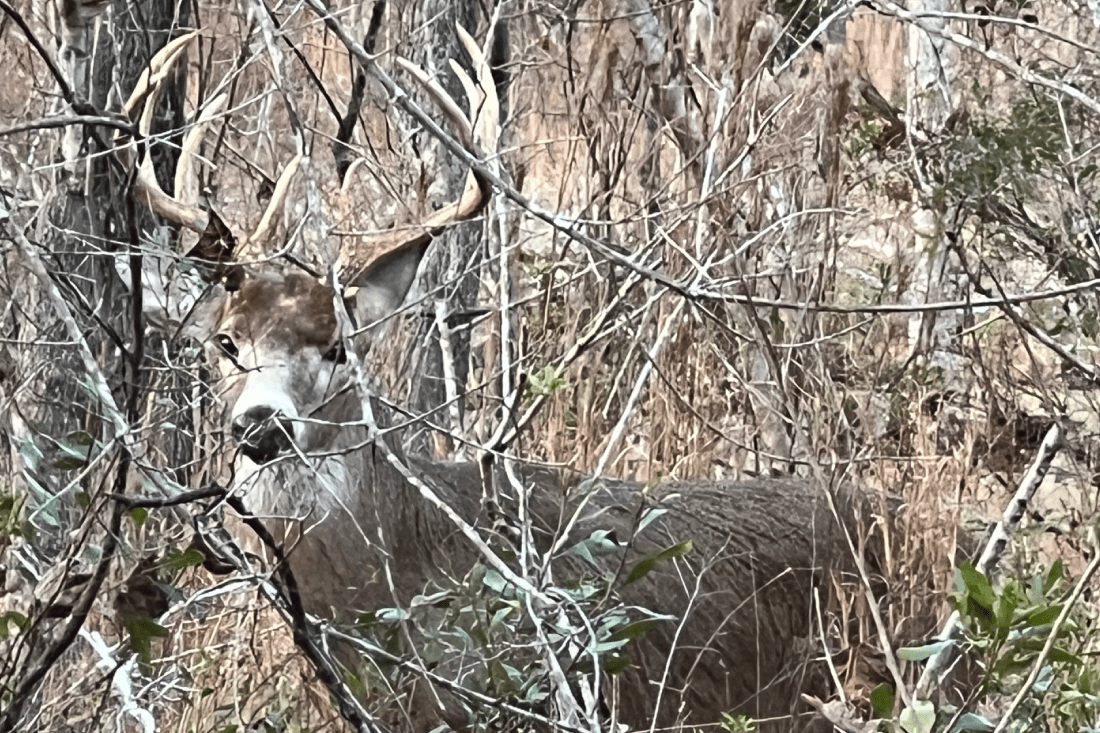 Traditions Hunting and Fishing