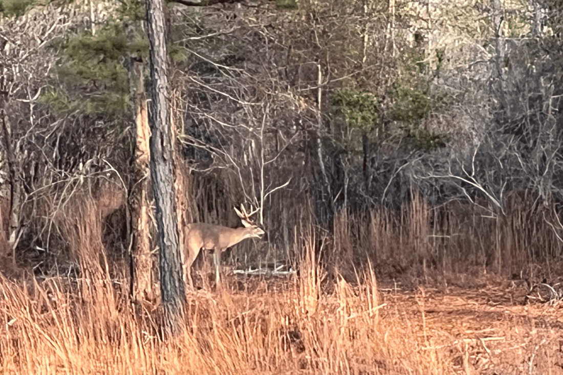 Guided Hunting Tours