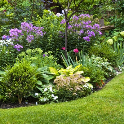 Garden Design