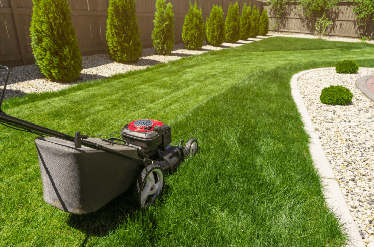 MDEnterprise Landscaping 