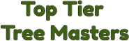 Top Tier Tree Masters