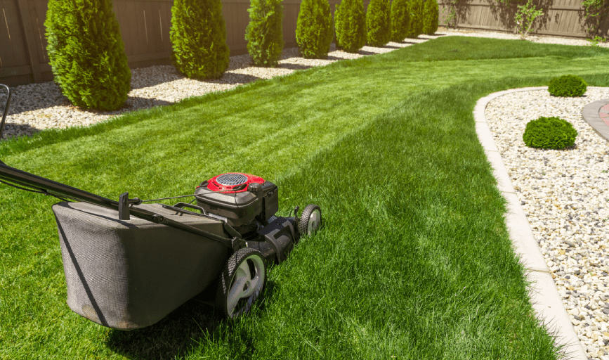 Dmauricio Landscaping & Construction