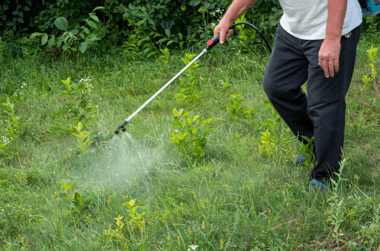 Flores Lawn, Landscape & Tree