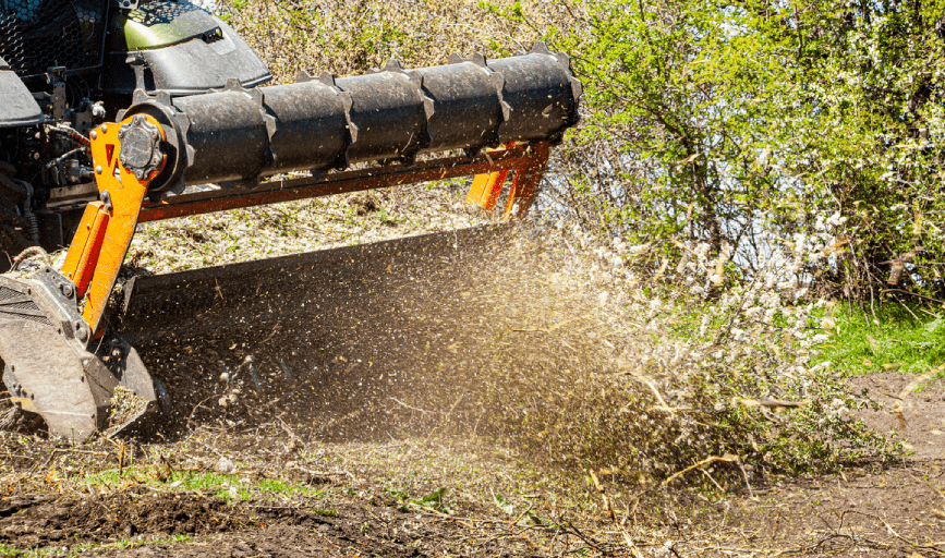 Hahn's Forestry Mulching