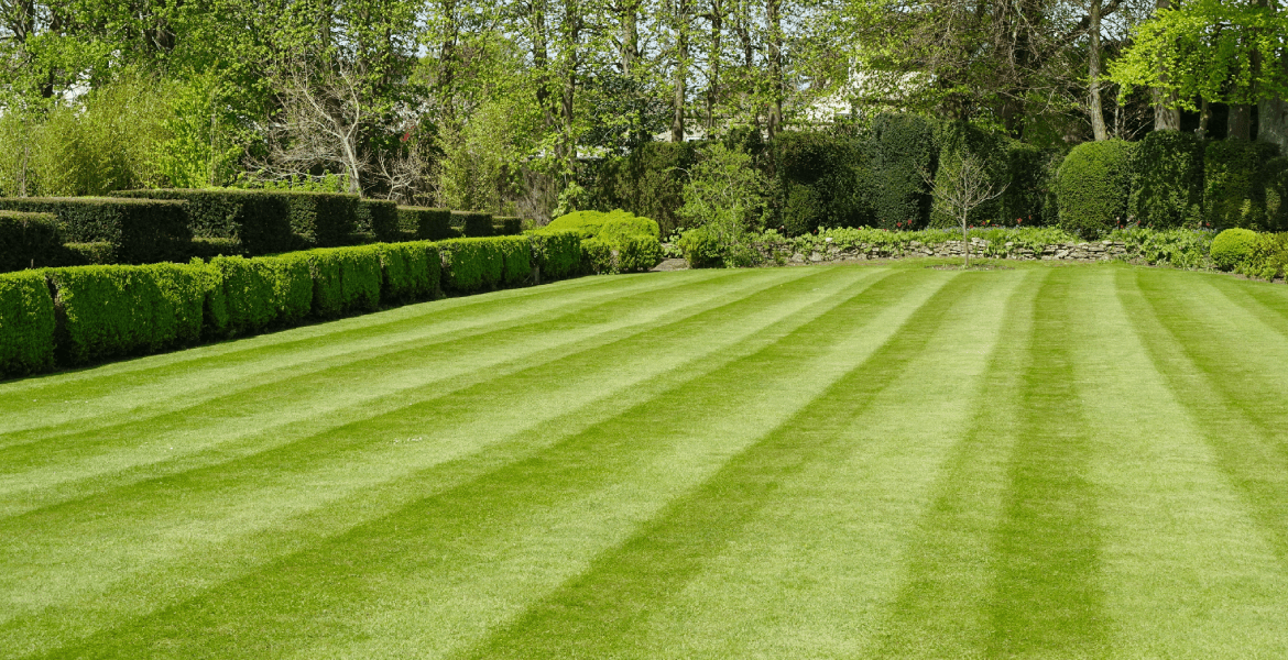 Chester County Property Maintenance