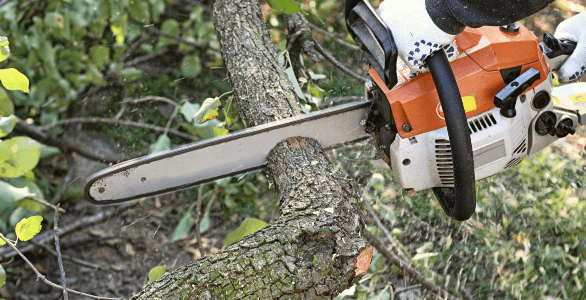 Chester County Property Maintenance