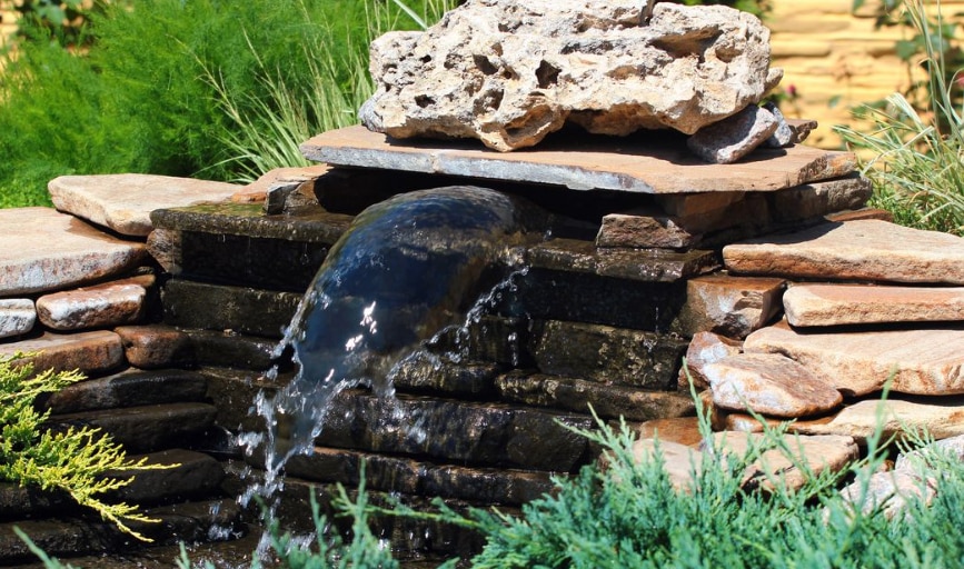 NSR & NMD Lawn Care Services