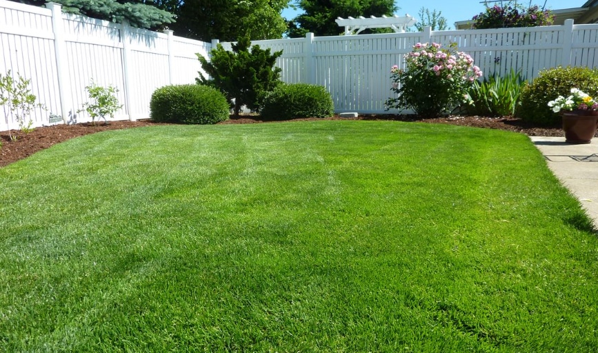 NSR & NMD Lawn Care Services