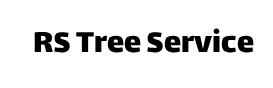 RS Tree Service