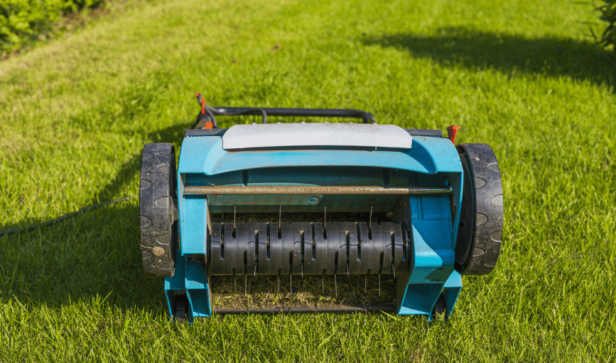 Cheryl's Clean Cut Lawn Service