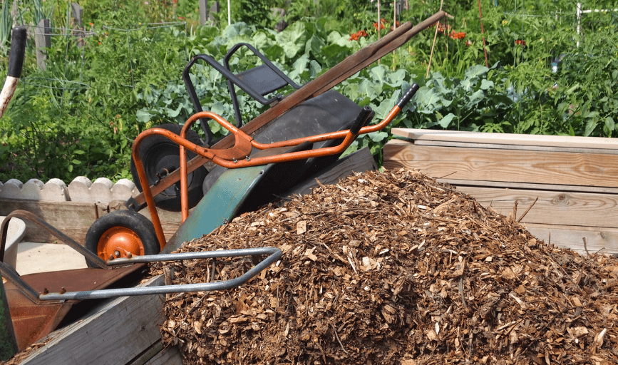 Cheryl's Clean Cut Lawn Service