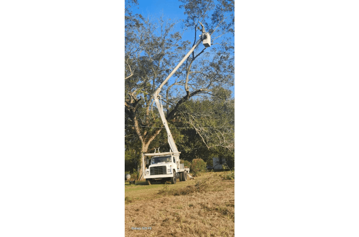 Hatfields Tree Service And Crane