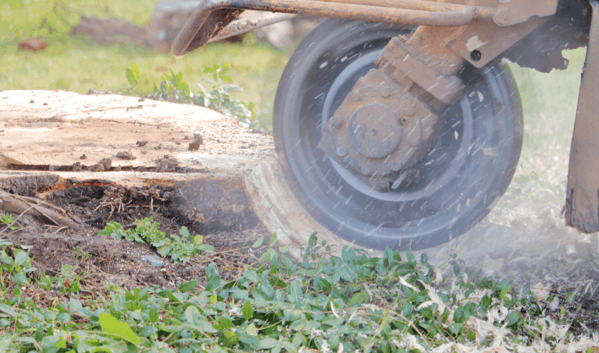 Stump Grinding