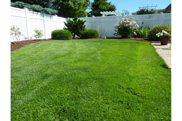 Golden Era Lawn Care