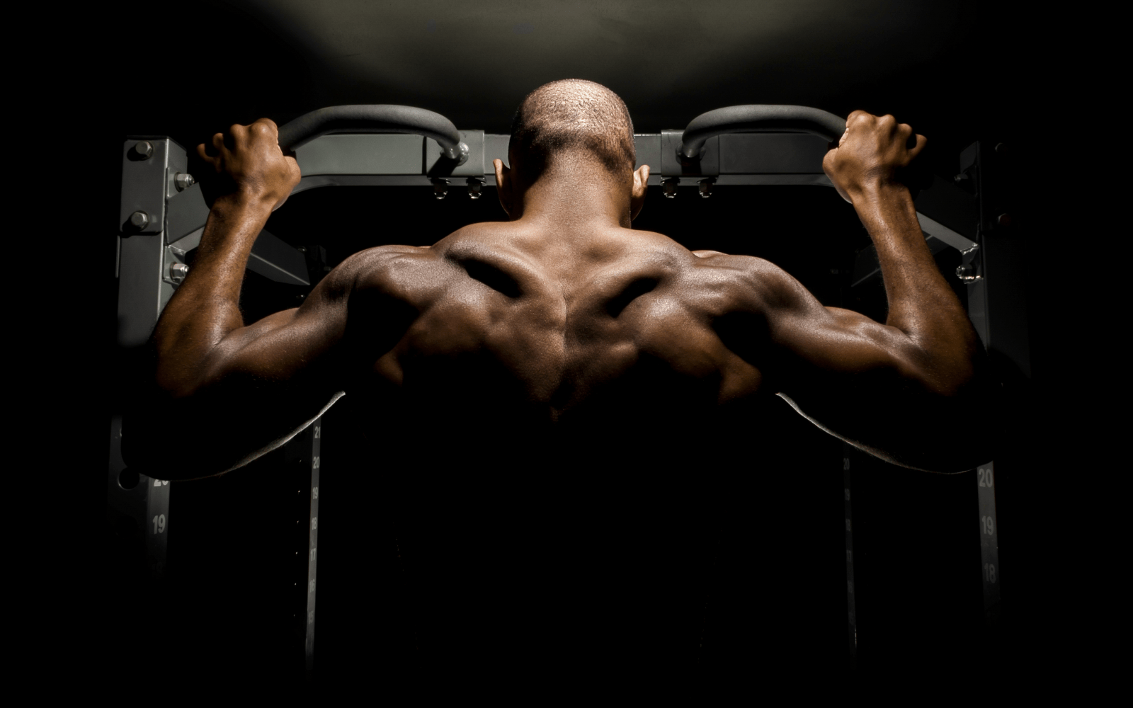 Body Recomposition Training