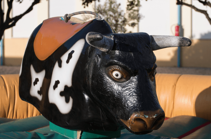K & N Mechanical Bull Rentals